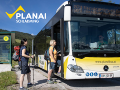 Planai Busbetrieb | © Harald Steiner