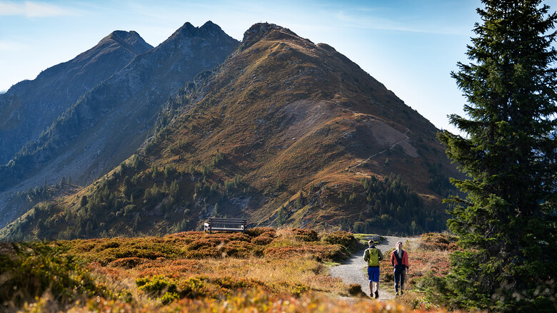 Wanderherbst auf der Planai | © Josh Absenger